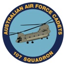 107Sqn Crest